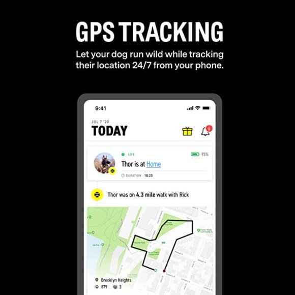 "FI" GPS dog collar Series 2 - Picture 6 of 6